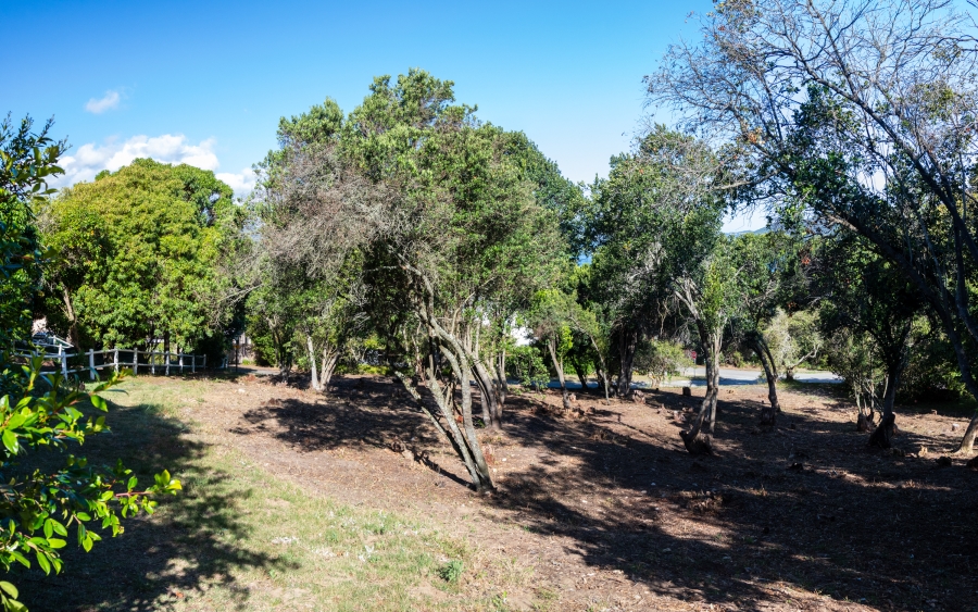 0 Bedroom Property for Sale in Belvidere Estate Western Cape